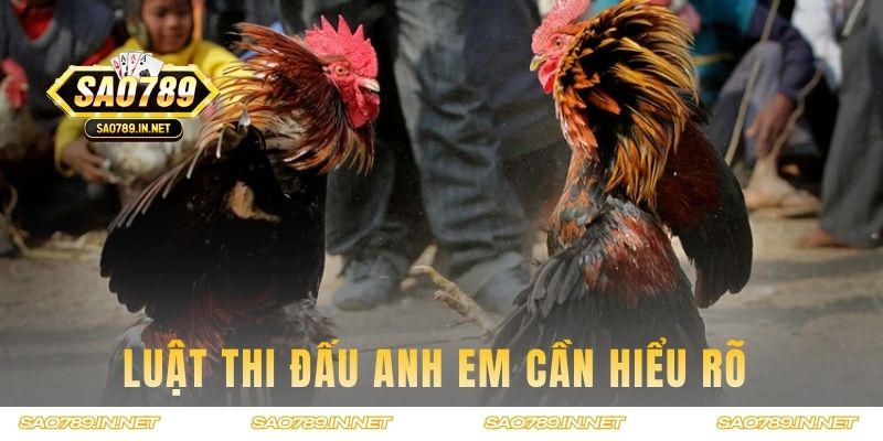 Luật thi đấu anh em cần hiểu rõ